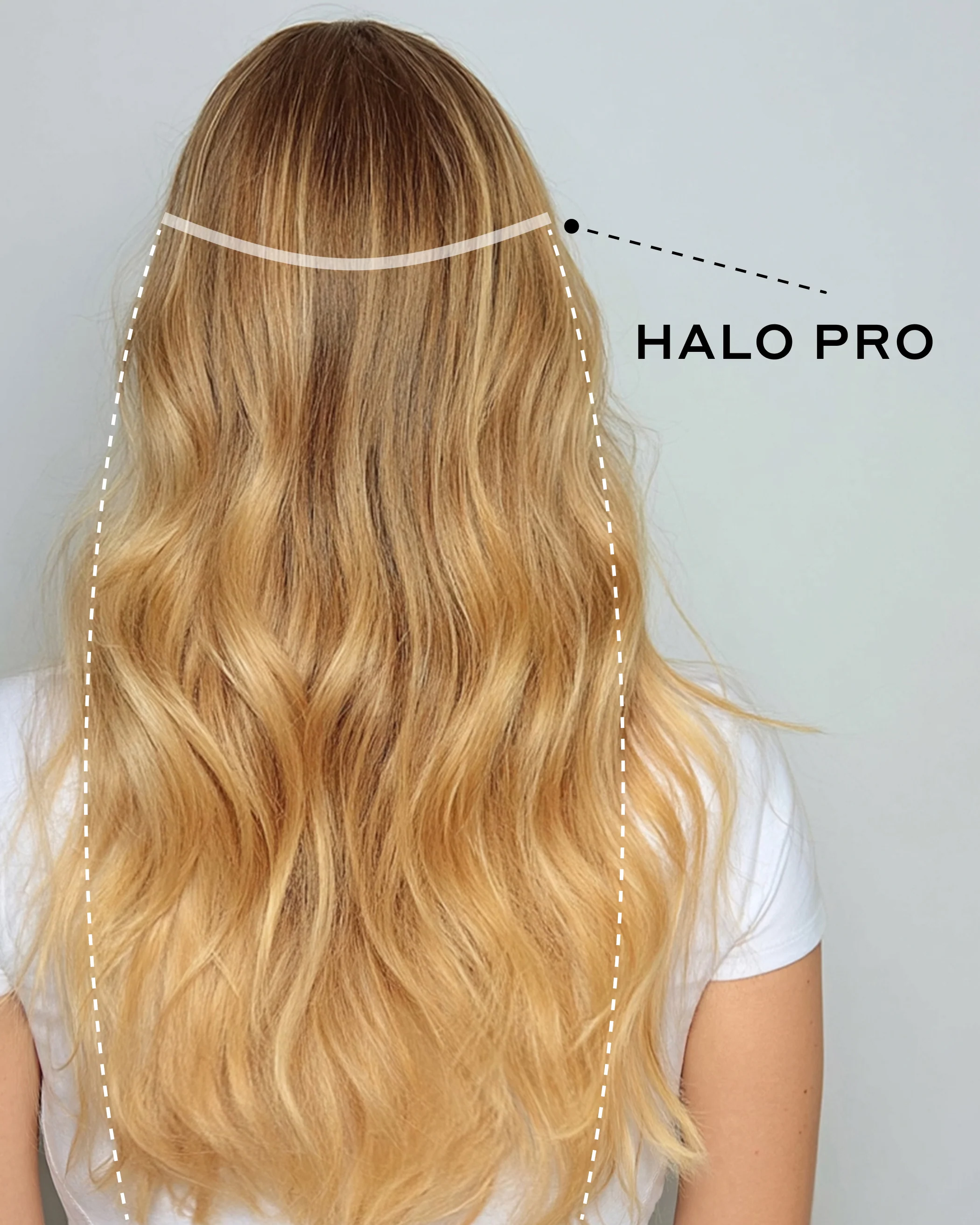 Professional New Arrivals